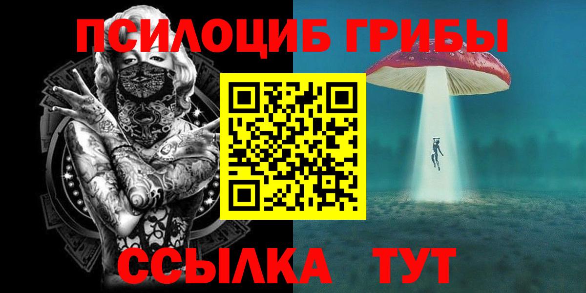 Галлюциногенные грибы Psilocybine cubensis Россия