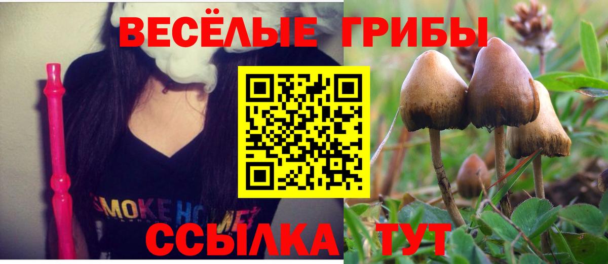 купить наркотики цена  Вход с VPN  Россия  Псилоцибиновые грибы Cubensis 