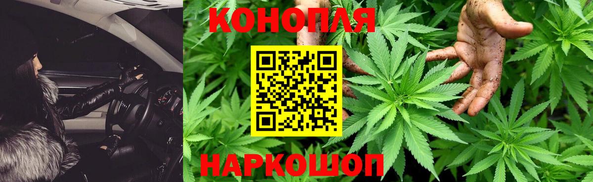 Россия  Бошки марихуана семена  Бошки марихуана Bruce Banner  Канабис индика  Вход с VPN 